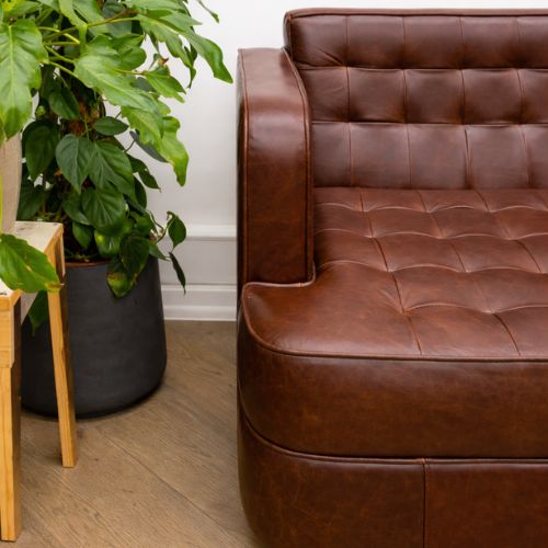 Luxury brown tufted leather sofa in modern living room with indoor plant